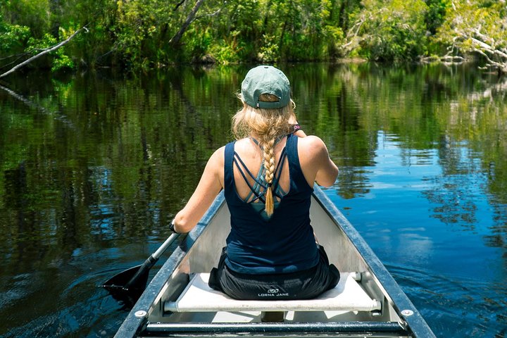 Cruise 'n' Canoe To Australia's Everglades - Accommodation Noosa